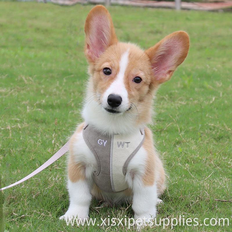 Wholesale Fashion Dog Harness And Leash